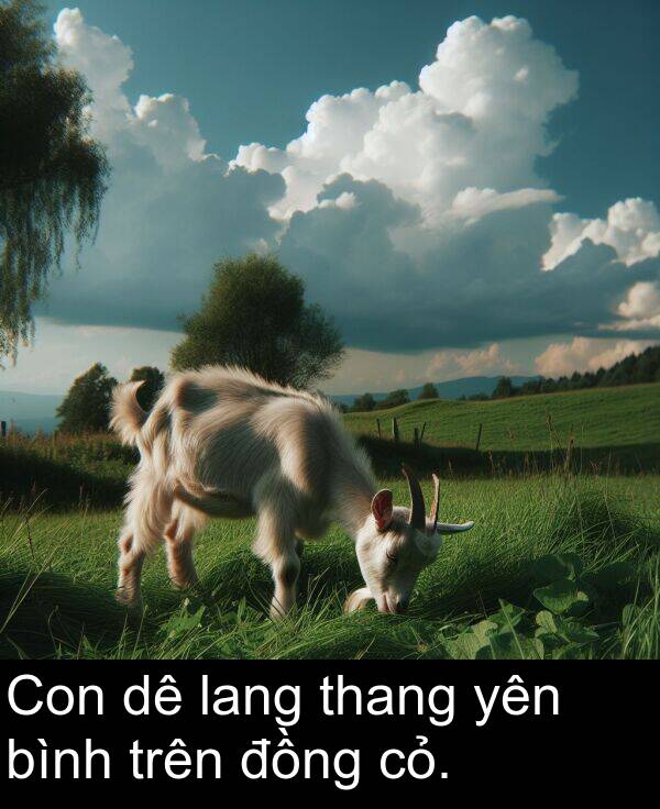 thang: Con dê lang thang yên bình trên đồng cỏ.