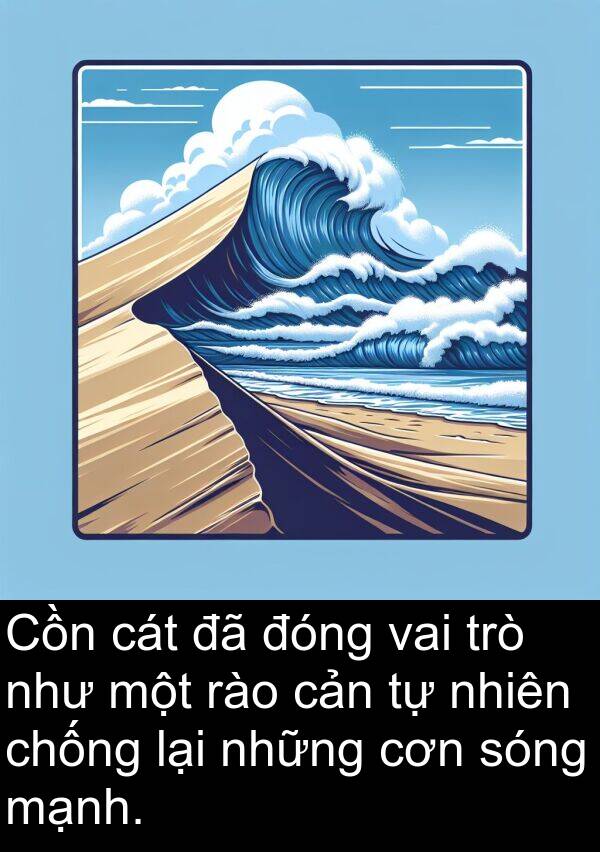 cơn: Cồn cát đã đóng vai trò như một rào cản tự nhiên chống lại những cơn sóng mạnh.