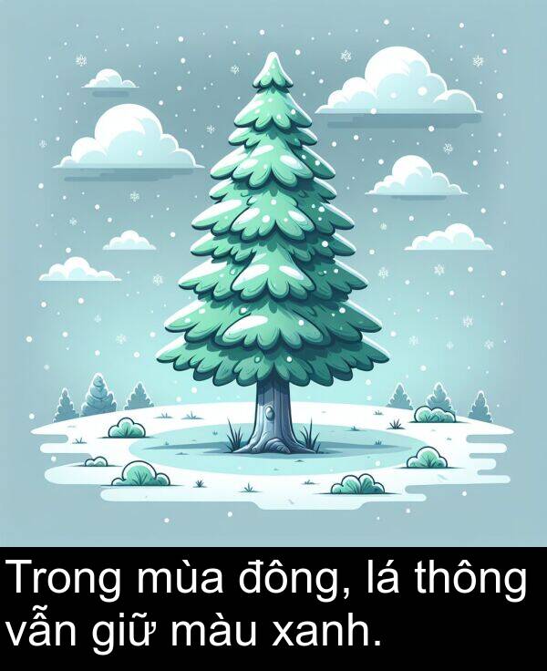 thông: Trong mùa đông, lá thông vẫn giữ màu xanh.