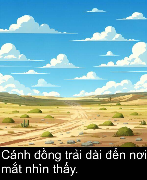 trải: Cánh đồng trải dài đến nơi mắt nhìn thấy.