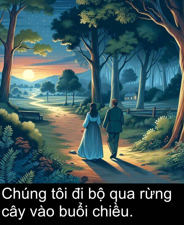 chiều: Chúng tôi đi bộ qua rừng cây vào buổi chiều.