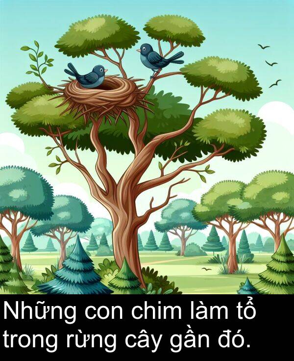 làm: Những con chim làm tổ trong rừng cây gần đó.