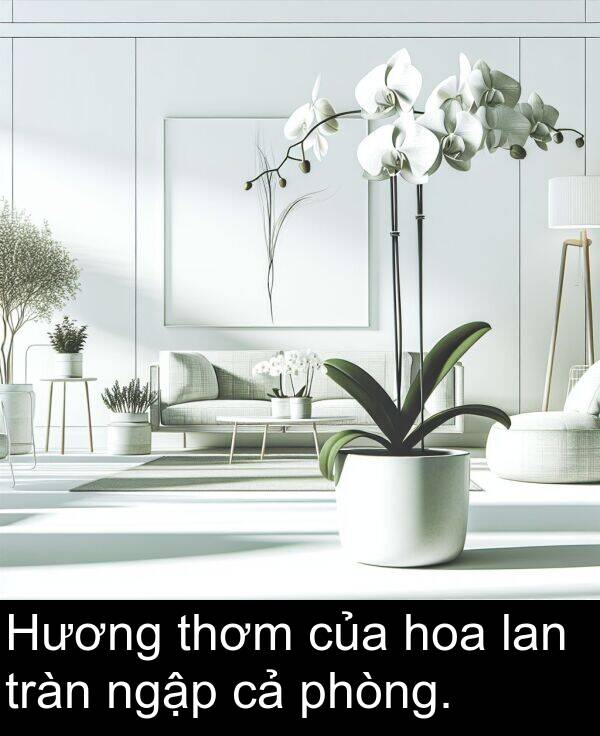 thơm: Hương thơm của hoa lan tràn ngập cả phòng.