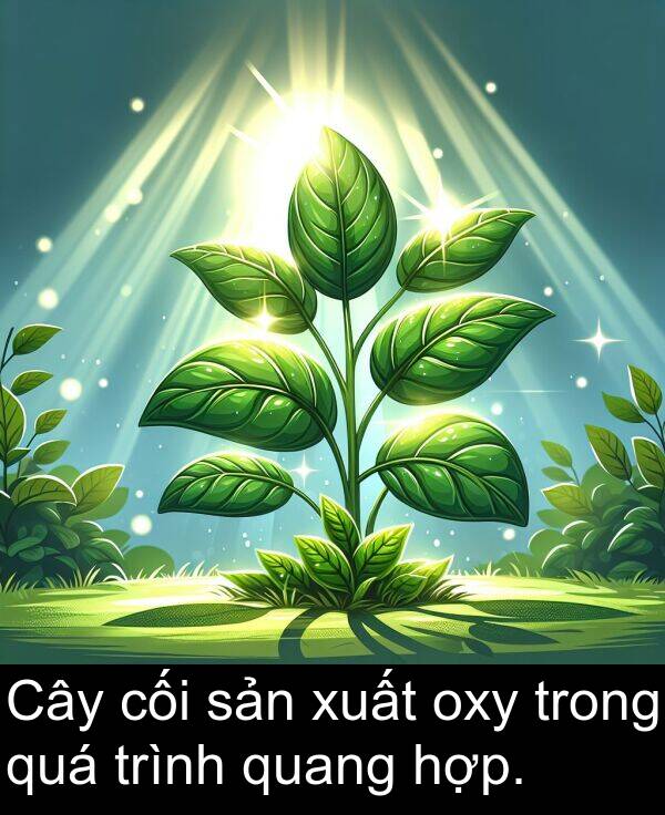 cối: Cây cối sản xuất oxy trong quá trình quang hợp.