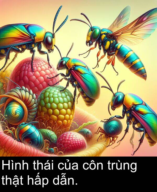 trùng: Hình thái của côn trùng thật hấp dẫn.