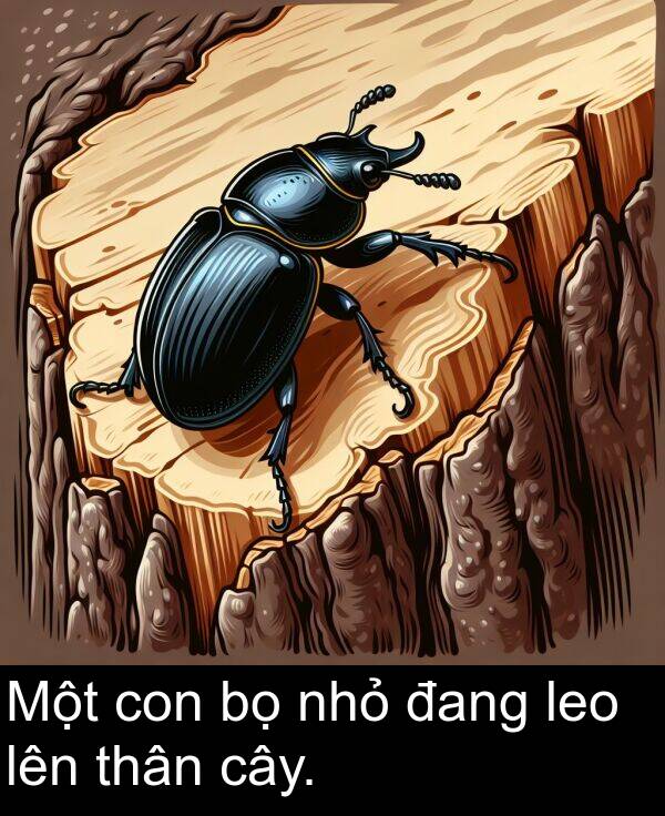 nhỏ: Một con bọ nhỏ đang leo lên thân cây.