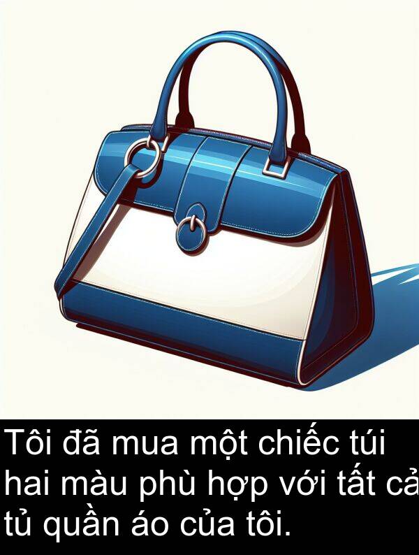 phù: Tôi đã mua một chiếc túi hai màu phù hợp với tất cả tủ quần áo của tôi.