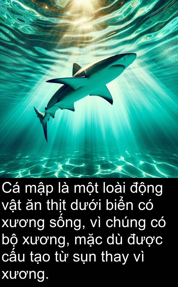 xương: Cá mập là một loài động vật ăn thịt dưới biển có xương sống, vì chúng có bộ xương, mặc dù được cấu tạo từ sụn thay vì xương.