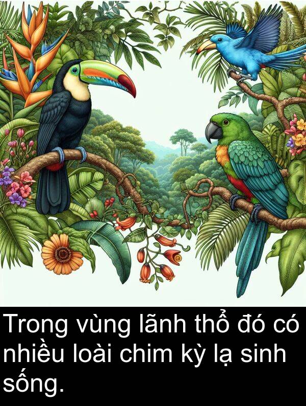 lãnh: Trong vùng lãnh thổ đó có nhiều loài chim kỳ lạ sinh sống.