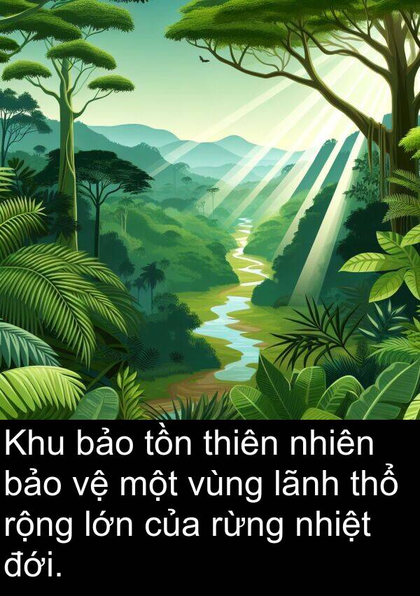 lãnh: Khu bảo tồn thiên nhiên bảo vệ một vùng lãnh thổ rộng lớn của rừng nhiệt đới.