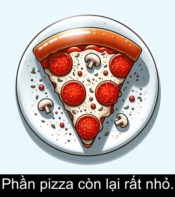 nhỏ: Phần pizza còn lại rất nhỏ.