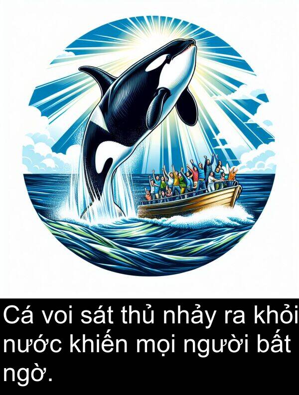 nhảy: Cá voi sát thủ nhảy ra khỏi nước khiến mọi người bất ngờ.
