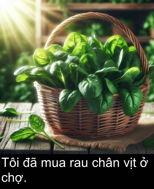 chợ: Tôi đã mua rau chân vịt ở chợ.