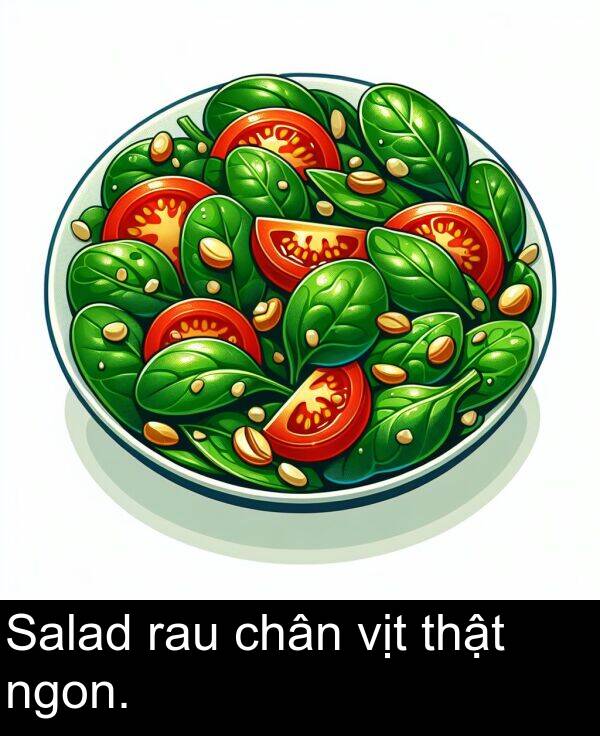 ngon: Salad rau chân vịt thật ngon.