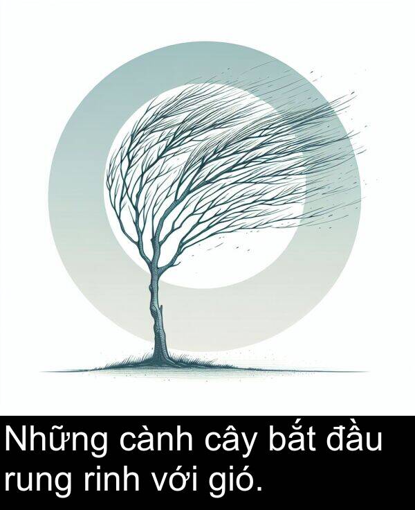 cành: Những cành cây bắt đầu rung rinh với gió.