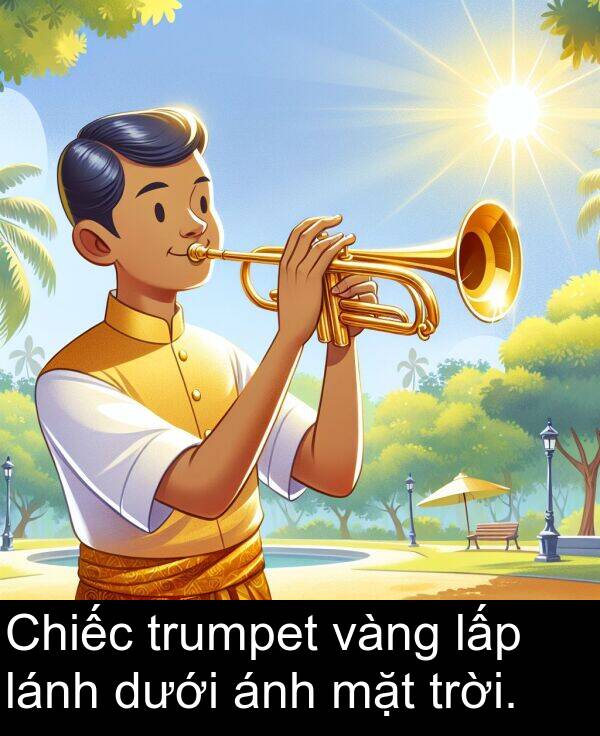 trumpet: Chiếc trumpet vàng lấp lánh dưới ánh mặt trời.