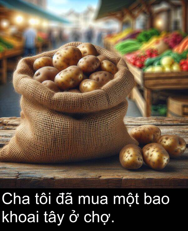 chợ: Cha tôi đã mua một bao khoai tây ở chợ.