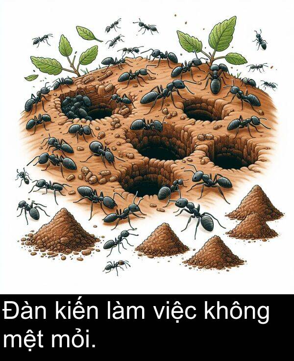 mỏi: Đàn kiến làm việc không mệt mỏi.