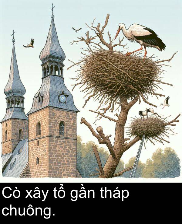 tháp: Cò xây tổ gần tháp chuông.