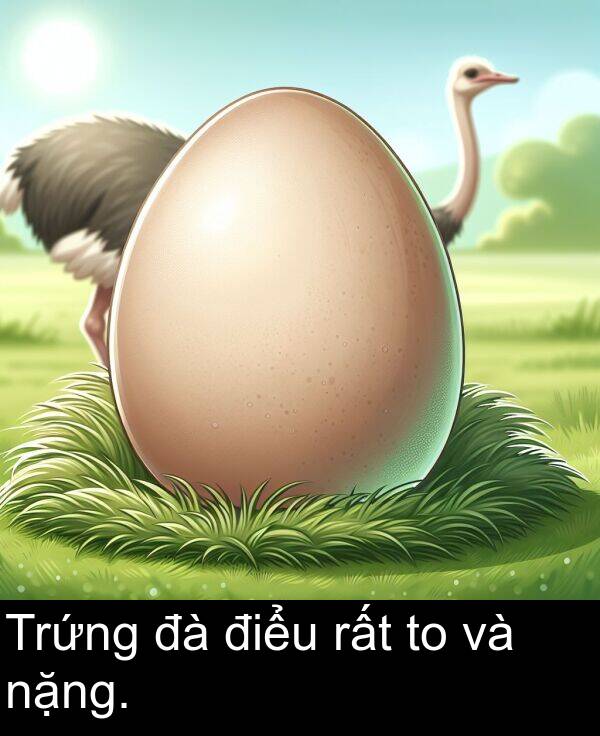 nặng: Trứng đà điểu rất to và nặng.