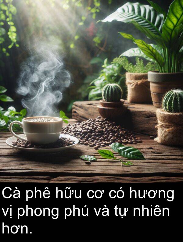 phong: Cà phê hữu cơ có hương vị phong phú và tự nhiên hơn.