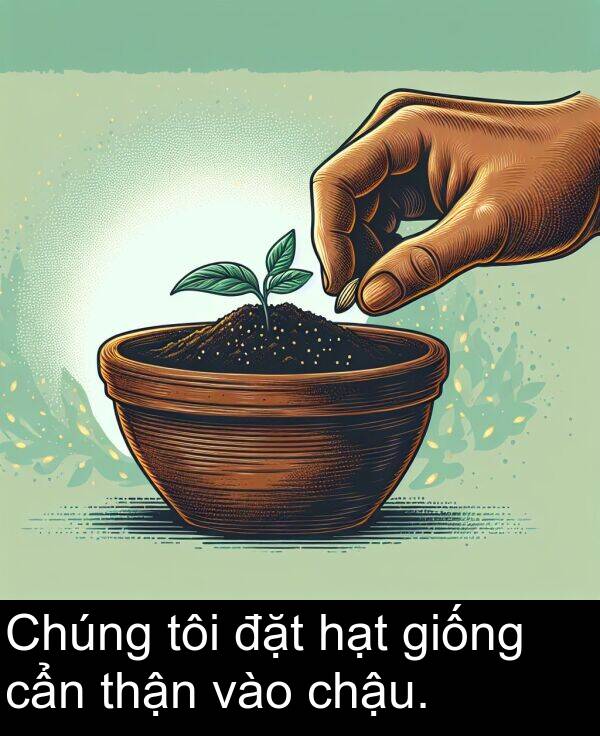 thận: Chúng tôi đặt hạt giống cẩn thận vào chậu.