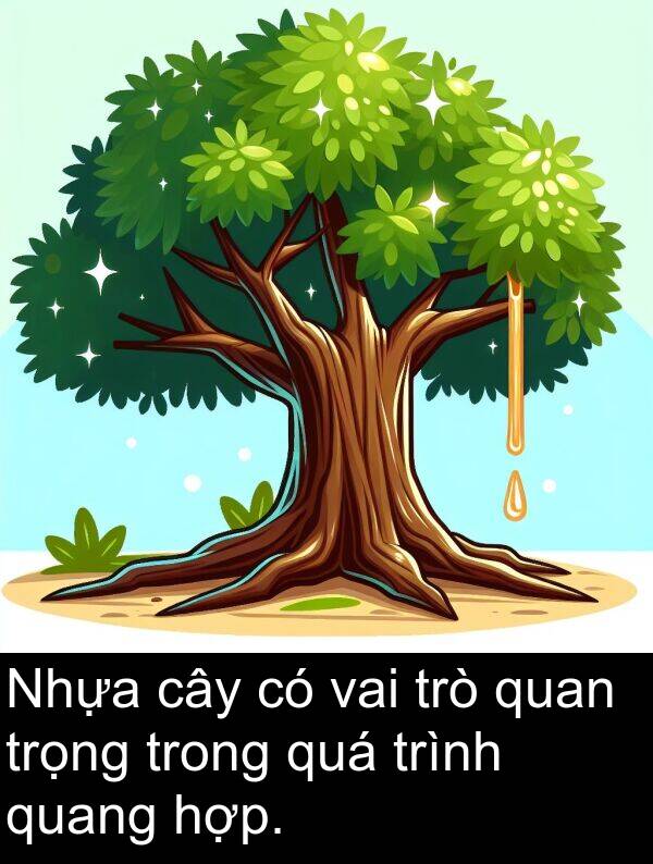 trình: Nhựa cây có vai trò quan trọng trong quá trình quang hợp.