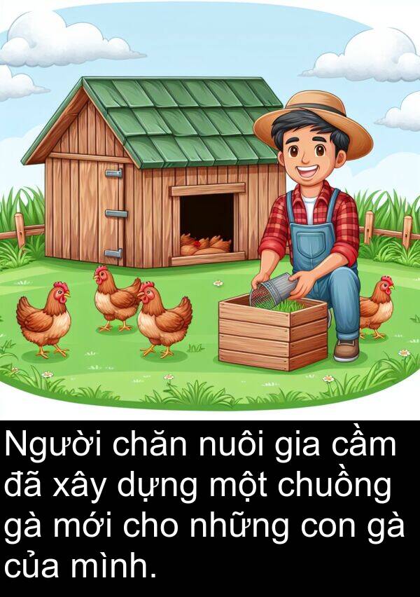 cầm: Người chăn nuôi gia cầm đã xây dựng một chuồng gà mới cho những con gà của mình.