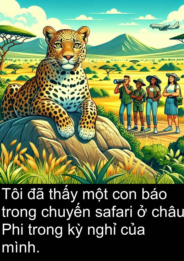 chuyến: Tôi đã thấy một con báo trong chuyến safari ở châu Phi trong kỳ nghỉ của mình.