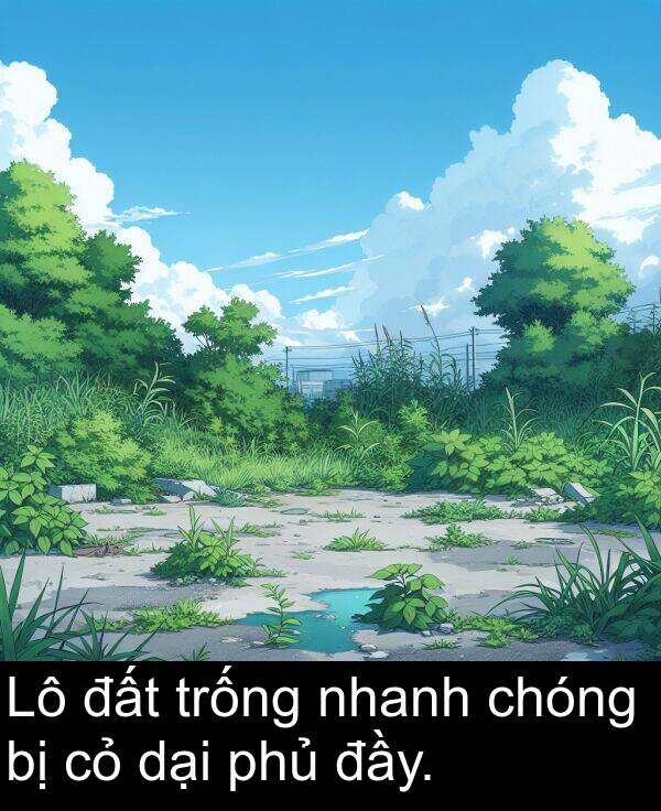 chóng: Lô đất trống nhanh chóng bị cỏ dại phủ đầy.