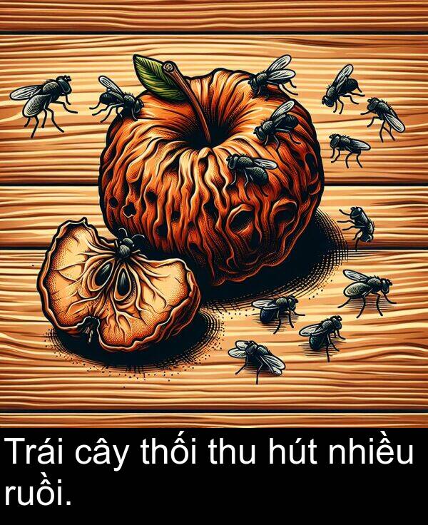 thu: Trái cây thối thu hút nhiều ruồi.