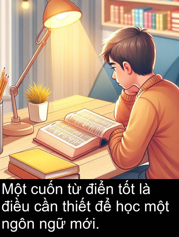 ngữ: Một cuốn từ điển tốt là điều cần thiết để học một ngôn ngữ mới.