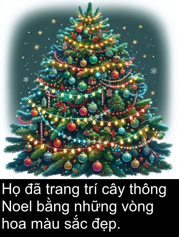 thông: Họ đã trang trí cây thông Noel bằng những vòng hoa màu sắc đẹp.