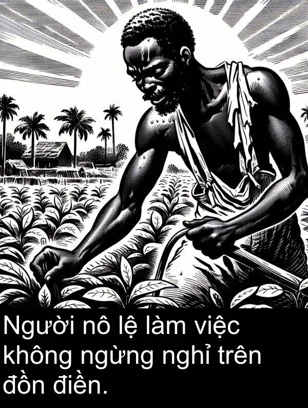 nghỉ: Người nô lệ làm việc không ngừng nghỉ trên đồn điền.