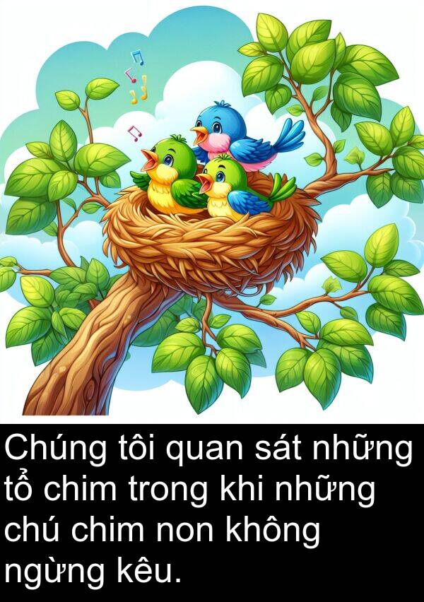 ngừng: Chúng tôi quan sát những tổ chim trong khi những chú chim non không ngừng kêu.