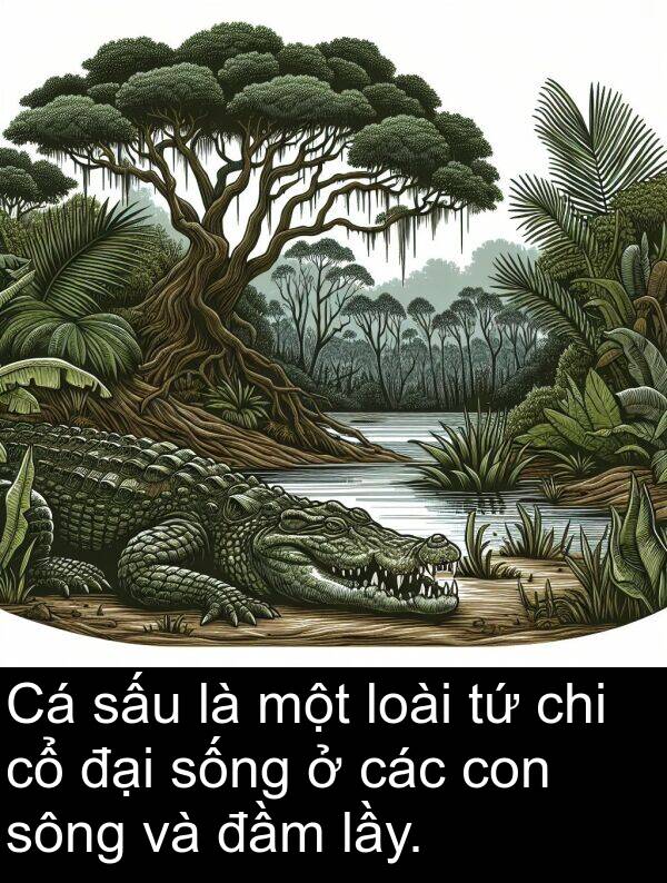 sông: Cá sấu là một loài tứ chi cổ đại sống ở các con sông và đầm lầy.