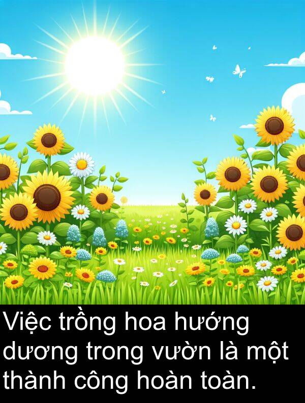 trồng: Việc trồng hoa hướng dương trong vườn là một thành công hoàn toàn.