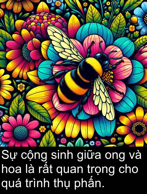 phấn: Sự cộng sinh giữa ong và hoa là rất quan trọng cho quá trình thụ phấn.