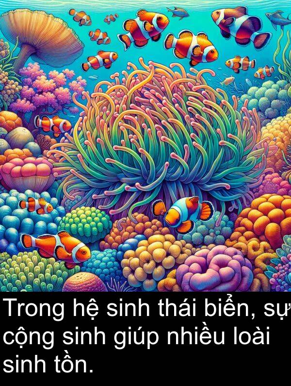 cộng: Trong hệ sinh thái biển, sự cộng sinh giúp nhiều loài sinh tồn.