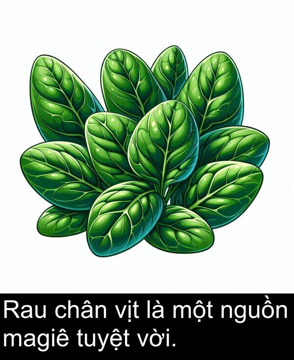 nguồn: Rau chân vịt là một nguồn magiê tuyệt vời.