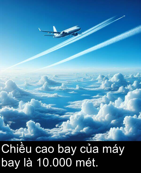 máy: Chiều cao bay của máy bay là 10.000 mét.