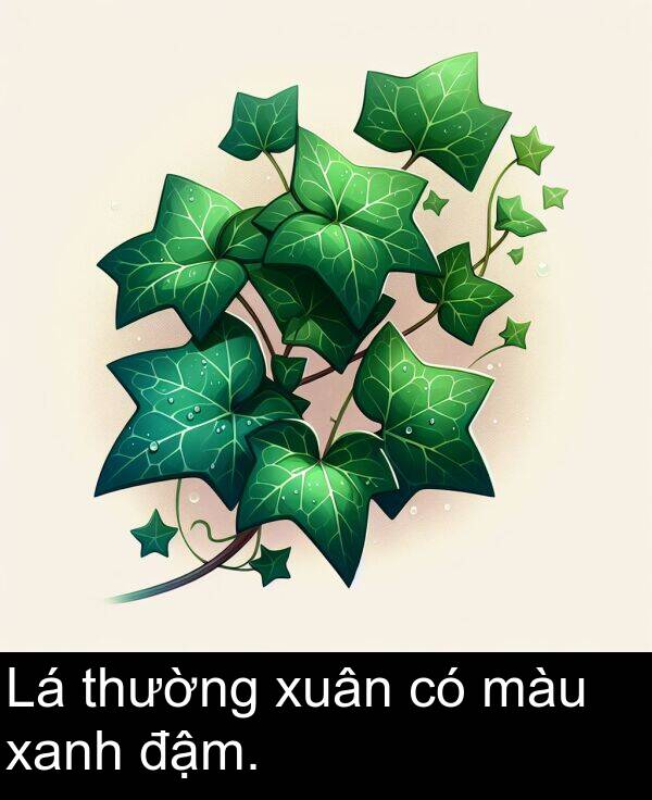 xuân: Lá thường xuân có màu xanh đậm.