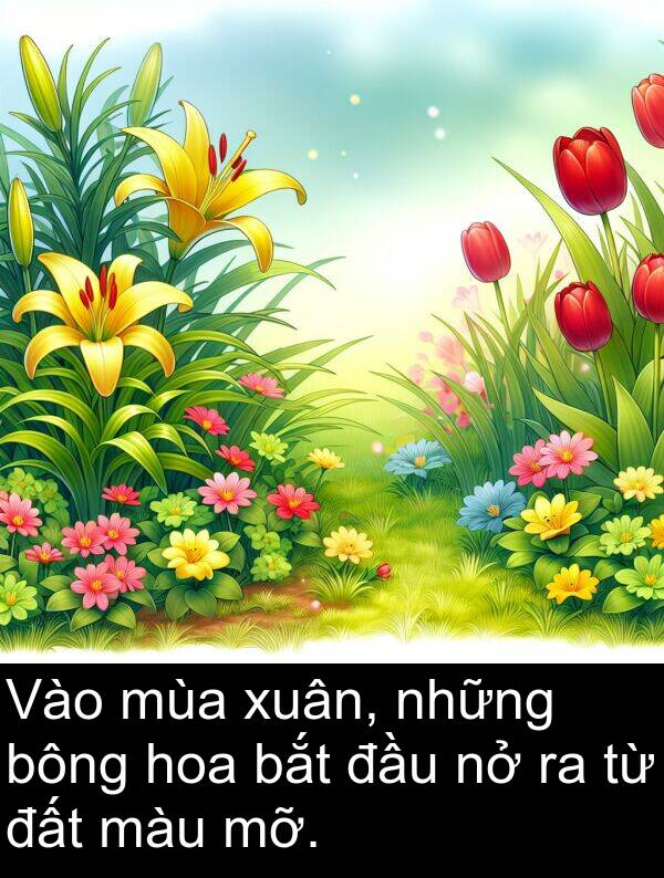 xuân: Vào mùa xuân, những bông hoa bắt đầu nở ra từ đất màu mỡ.