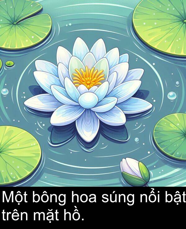 nổi: Một bông hoa súng nổi bật trên mặt hồ.