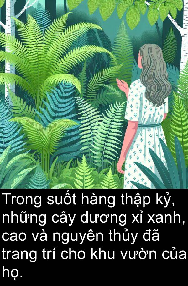 thập: Trong suốt hàng thập kỷ, những cây dương xỉ xanh, cao và nguyên thủy đã trang trí cho khu vườn của họ.