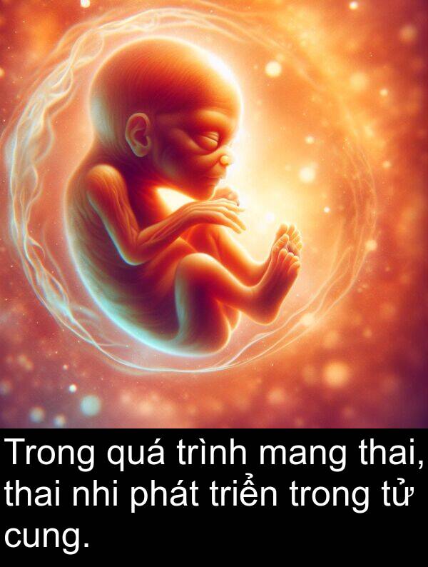 triển: Trong quá trình mang thai, thai nhi phát triển trong tử cung.