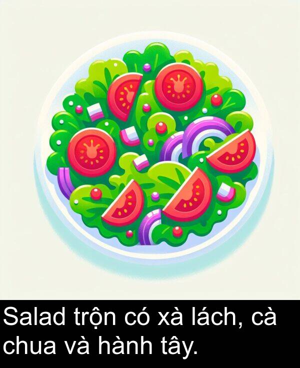 lách: Salad trộn có xà lách, cà chua và hành tây.