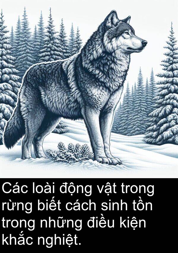 nghiệt: Các loài động vật trong rừng biết cách sinh tồn trong những điều kiện khắc nghiệt.