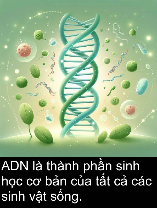 phần: ADN là thành phần sinh học cơ bản của tất cả các sinh vật sống.