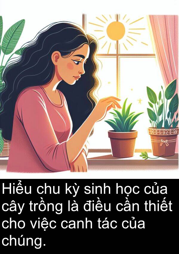 chu: Hiểu chu kỳ sinh học của cây trồng là điều cần thiết cho việc canh tác của chúng.